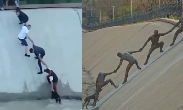 Watch: Strangers, a dog, and a moment the world chose to remember