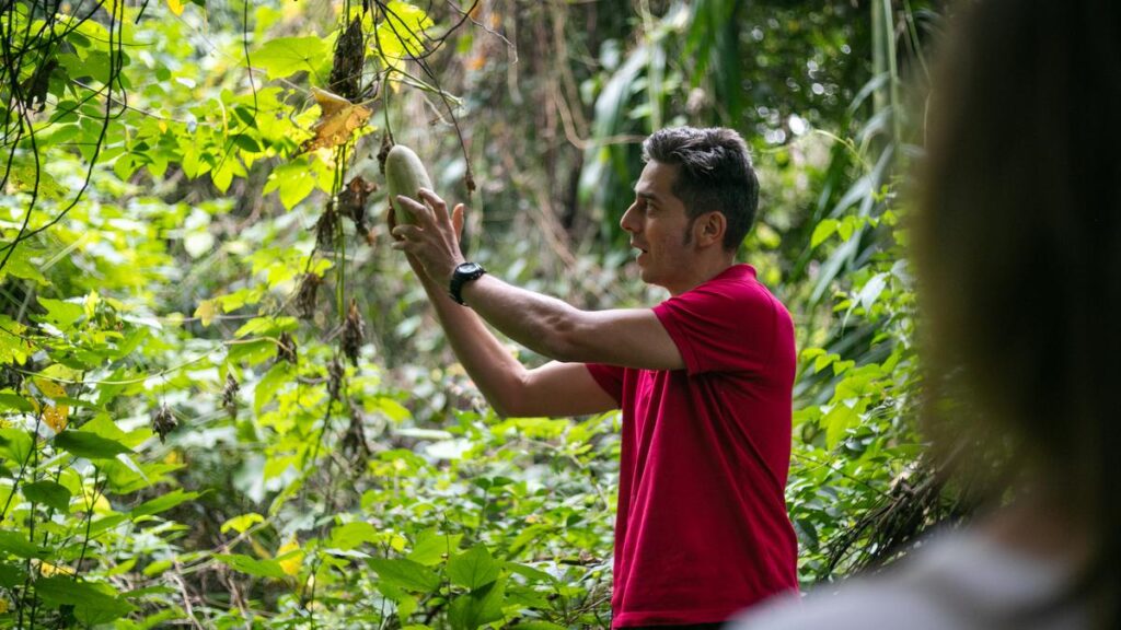 Urrak plantation hopping in Goa