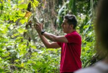 Urrak plantation hopping in Goa