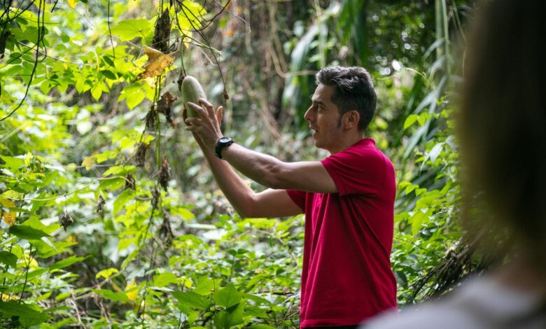Urrak plantation hopping in Goa